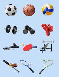 B-sports 田径器材服务标准是什么